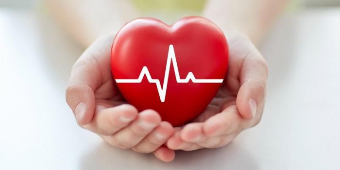 concept de sante, de medecine, de personnes et de cardiologie - gros plan de main avec cardiogramme sur petit coeur rouge