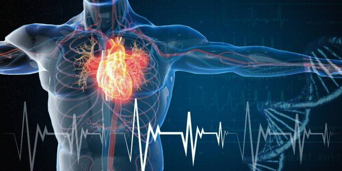 Maladie cardiovasculaire : les nuits très chaudes augmentent les risques de décès