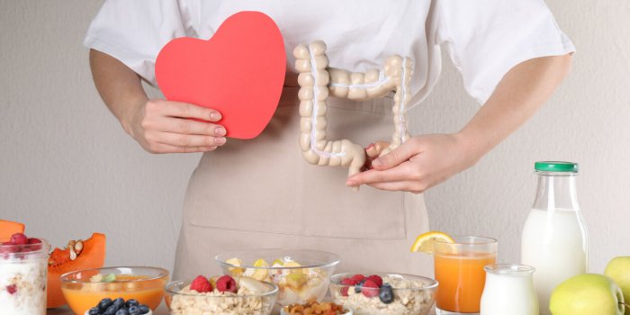 woman holding paper heart and large intestine model near table with food, closeup balanced nutrition for healthy digestiv...