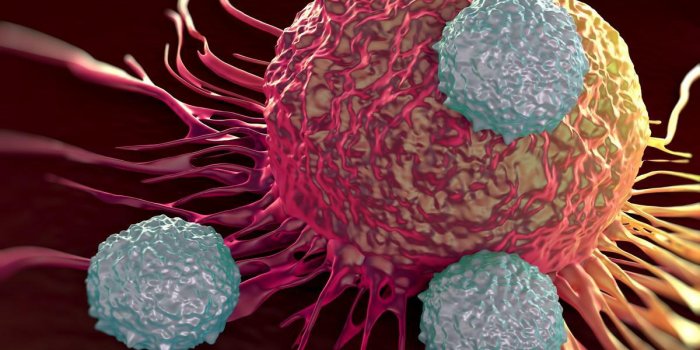 t-cellules attaquant l'illustration de cellules cancéreuses de photos microscopiques