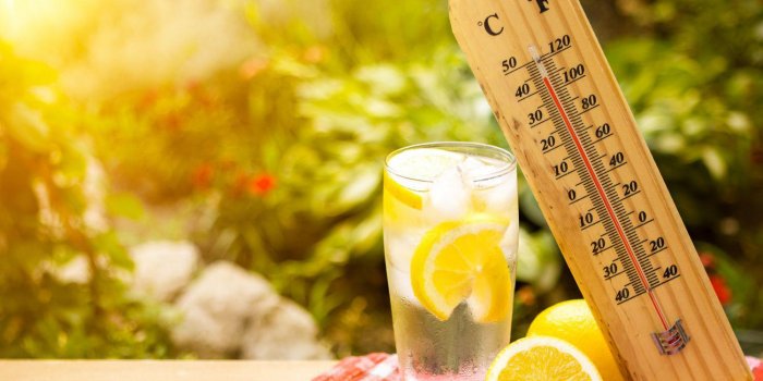 Canicule : 3 recettes d'été pour une bonne hydratation