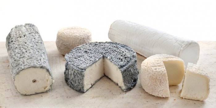 Listeria : rappel de fromage de chevre contamine dans 7 departements 