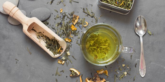 Syndrome métabolique : l’extrait de thé vert améliore la santé intestinale