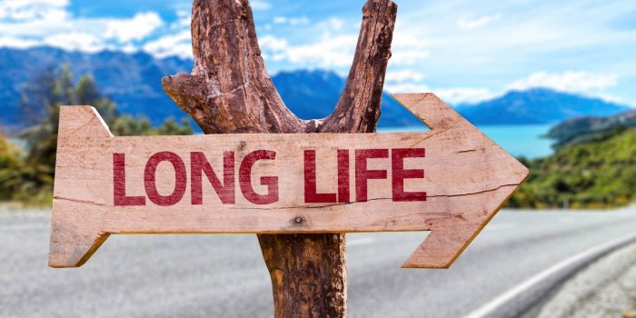 Longevite : 6 secrets pour vivre plus longtemps selon la science