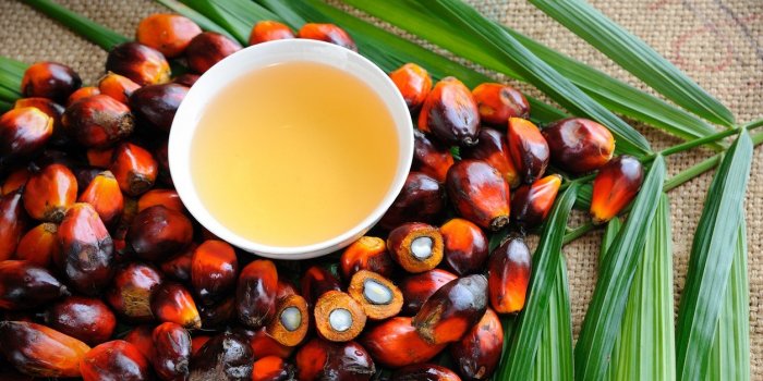 17 aliments qui contiennent de l-huile de palme