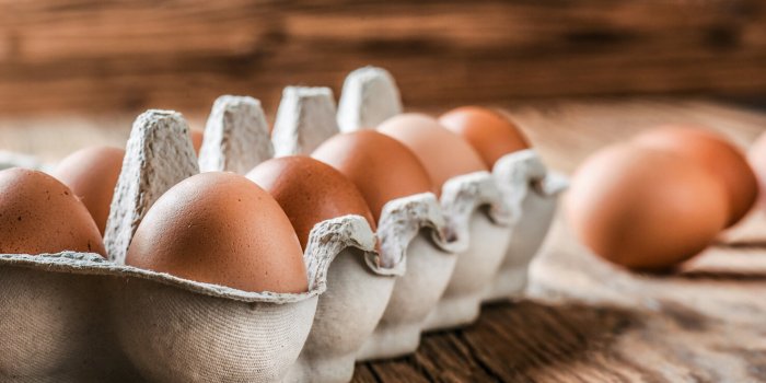 5 effets que les œufs peuvent avoir sur votre corps si vous en mangez trop