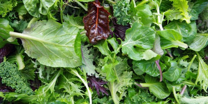 Intermarche, Lidl, Leclerc : 7 sachets de salades vertes rappeles
