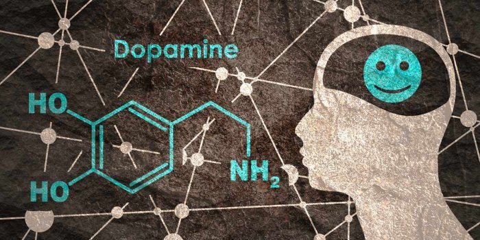 Dopamine : 5 signes que votre cerveau n’en produit pas assez