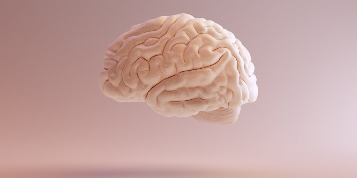 Les 9 formes de tumeurs cerebrales