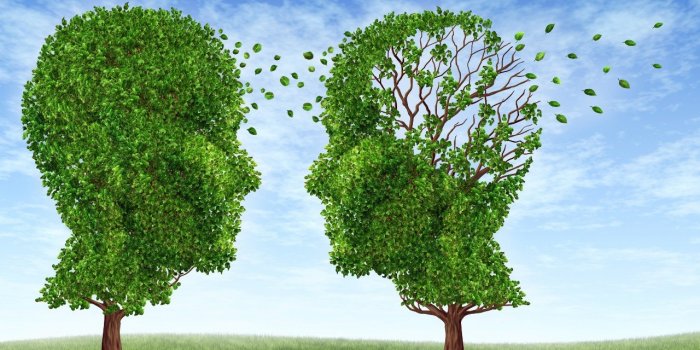 Alzheimer : 5 bonnes habitudes pour retarder la maladie de 6 ans