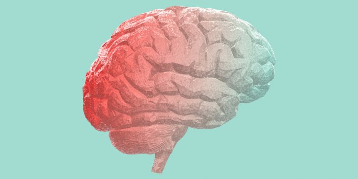 6 comportements dangereux pour le cerveau que vous avez presque tous