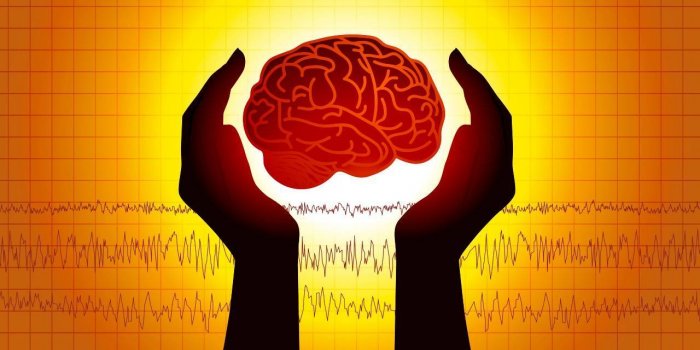 Cerveau : 5 maladies qui attaquent les zones du langage