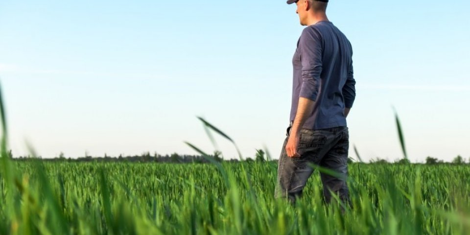 handsome farmer young man walking in green field spring agriculture