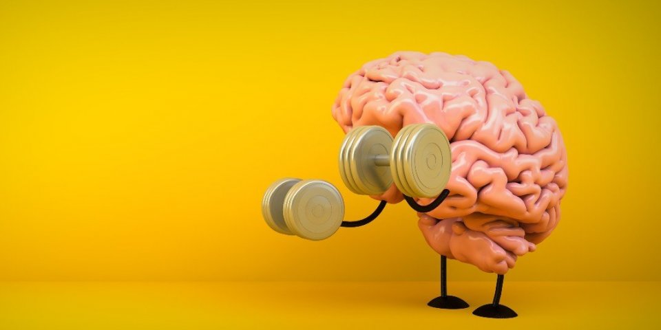 Cerveau : 7 conseils de médecin pour en prendre soin en 4 semaines
