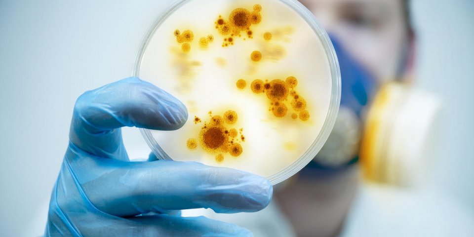 4 germes mortels qui menacent l’humanité