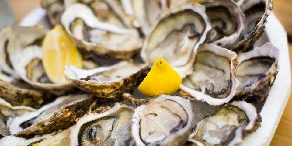 Rappel d’huîtres pour risque d’intoxication alimentaire par salmonelle