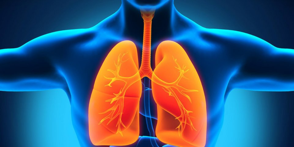 8 habitudes dangereuses pour vos poumons