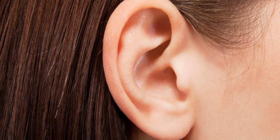 oreille humaine