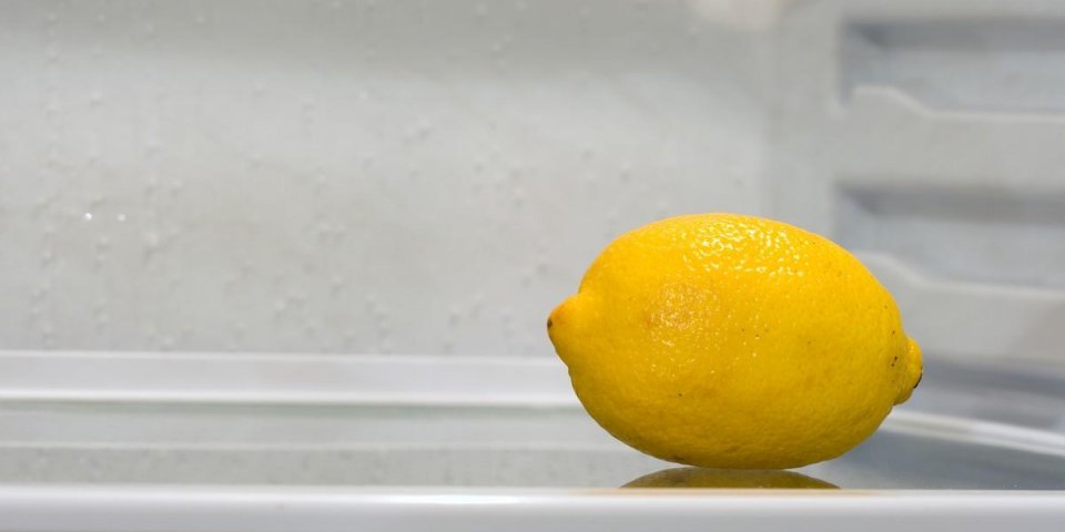 a lemon inside fridge, sitting alone on the shelf copyspace provided