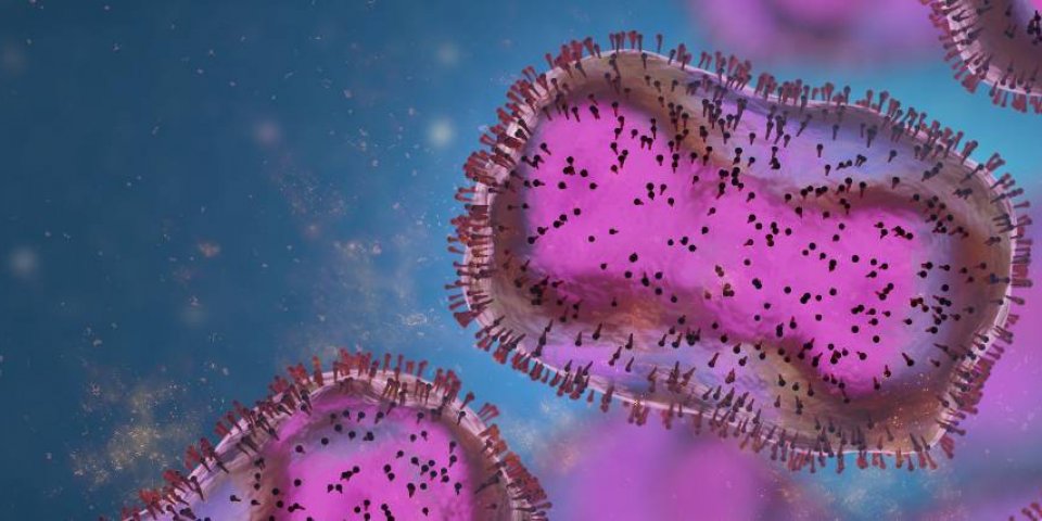 Monkeypox : l’épidémie de la variole du singe ralentit en France 