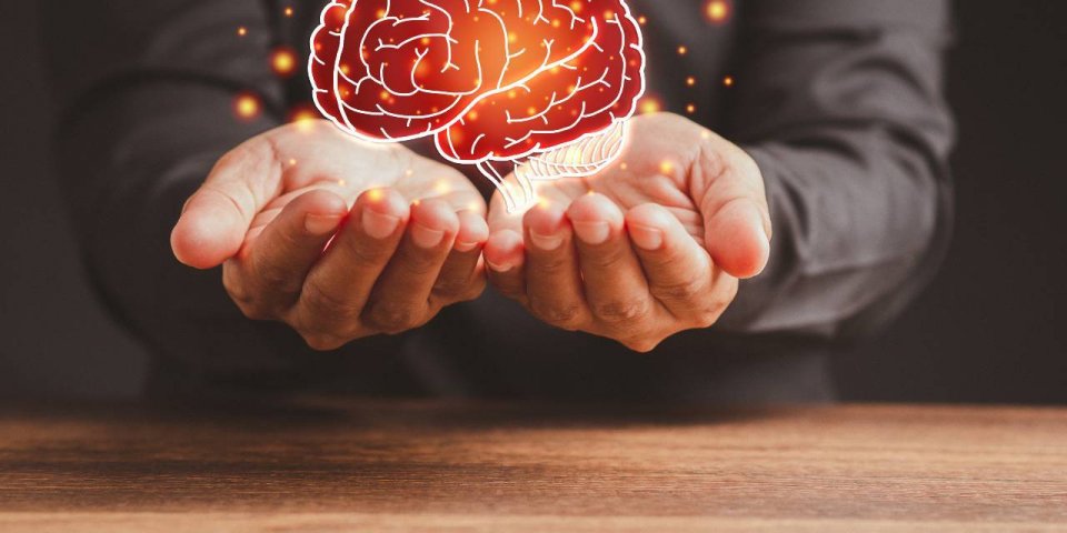Alzheimer : 4 façons de réduire vos risques de démence selon la Mayo Clinic