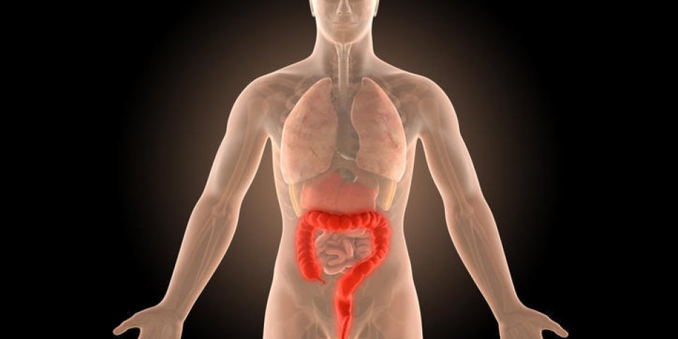 illustration 3d infection du côlon de crohn corps humain avec un tracé de détourage