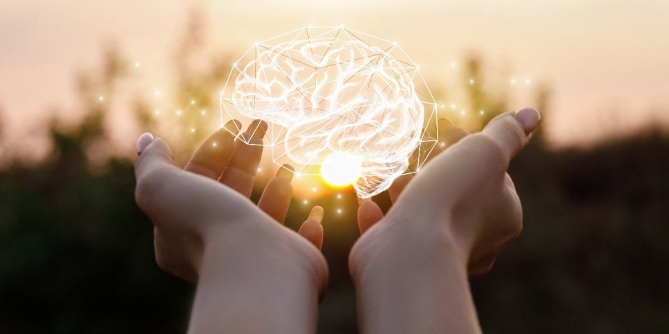 Déclin cognitif : un mélange multivitaminé pour améliorer la mémoire