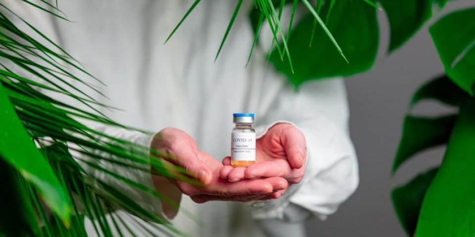 woman in white shirt show vaccine in a bottle near palm leaves