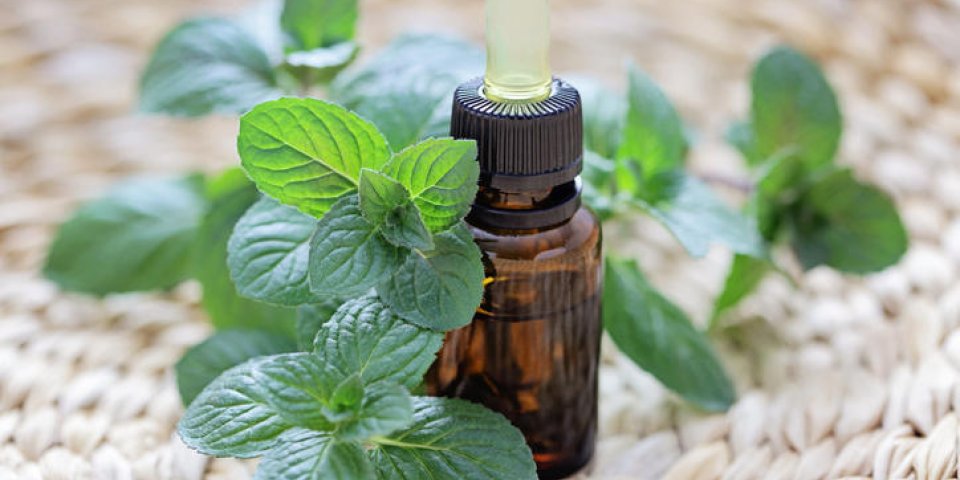 bouteille d'huile essentielle de menthe - médecine alternative