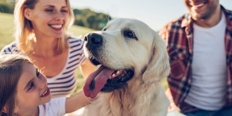 Les propriétaires de chiens en meilleure santé que les autres selon une étude