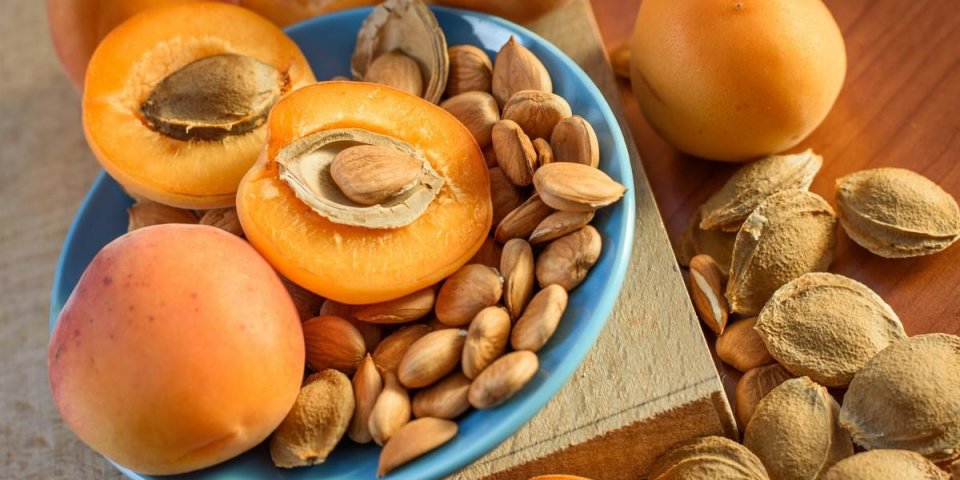 apricot almond kernel seed