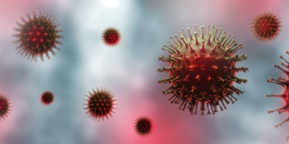 Grippe aviaire H3N8 : un premier cas détecté chez l’être humain