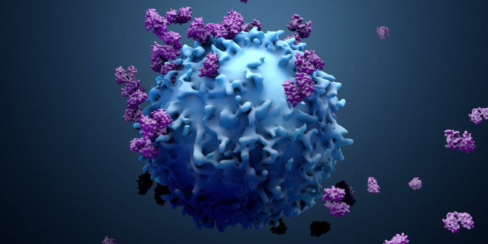 Covid-19 : certains malades développeraient des anticorps au bout de 15 jours 