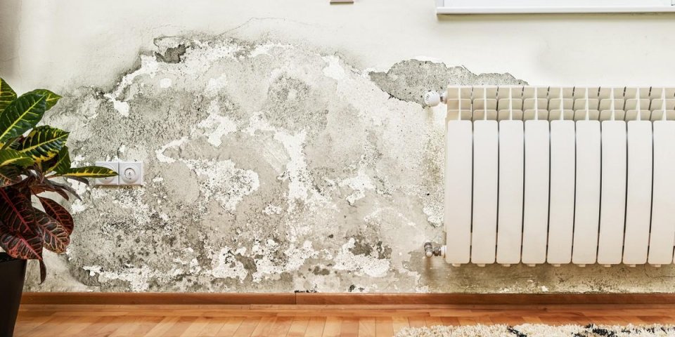 mold and moisture buildup on wall of a modern house