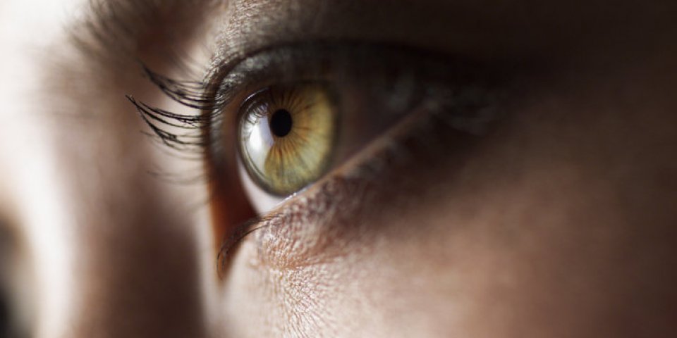 a close up shot of a beautiful green eye