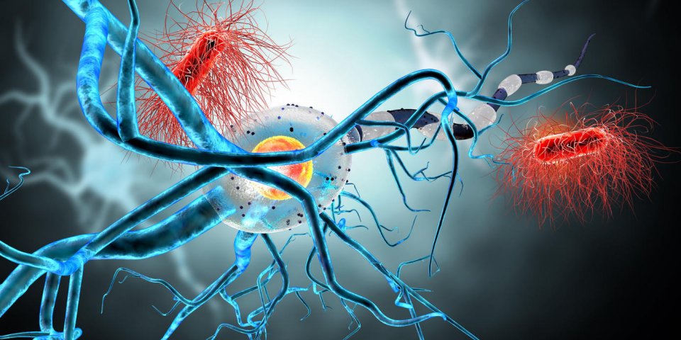 illustration 3d des cellules nerveuses, concept pour les maladies neurologiques, les tumeurs et la chirurgie du cerveau