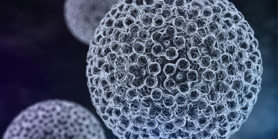 Papillomavirus : un facteur de cancer aussi chez l'homme ?