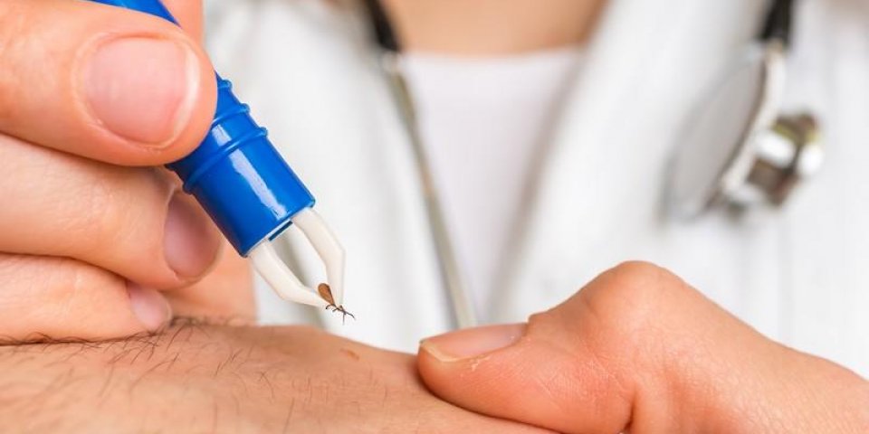 Maladie de Lyme : un vaccin prometteur, dans sa troisième phase clinique