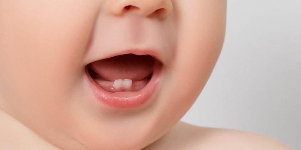 close-up baby mouth with two rises teeth