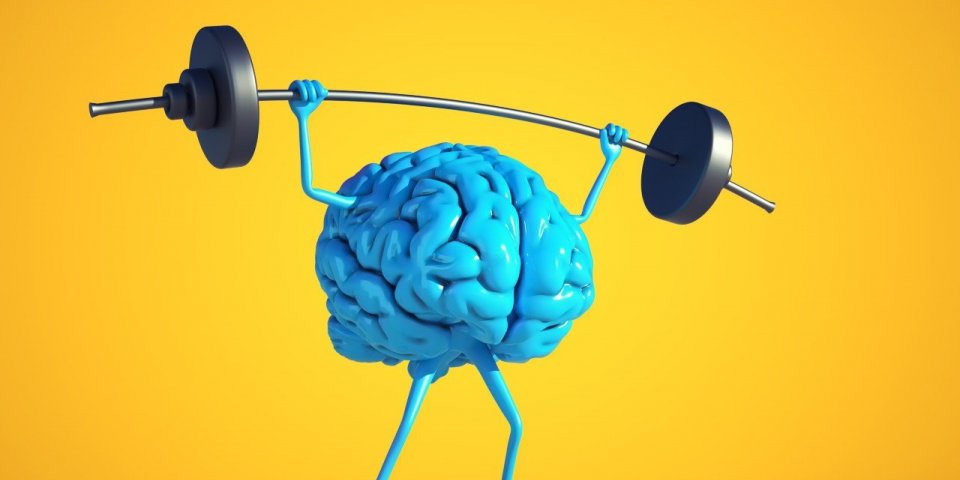 Cerveau : les 3 clés pour maintenir une bonne santé cérébrale