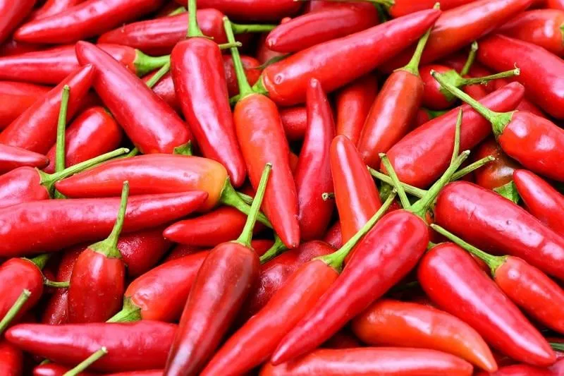 hot red peppers or fresno background