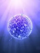 sperme nageant dans la direction de l'ovule