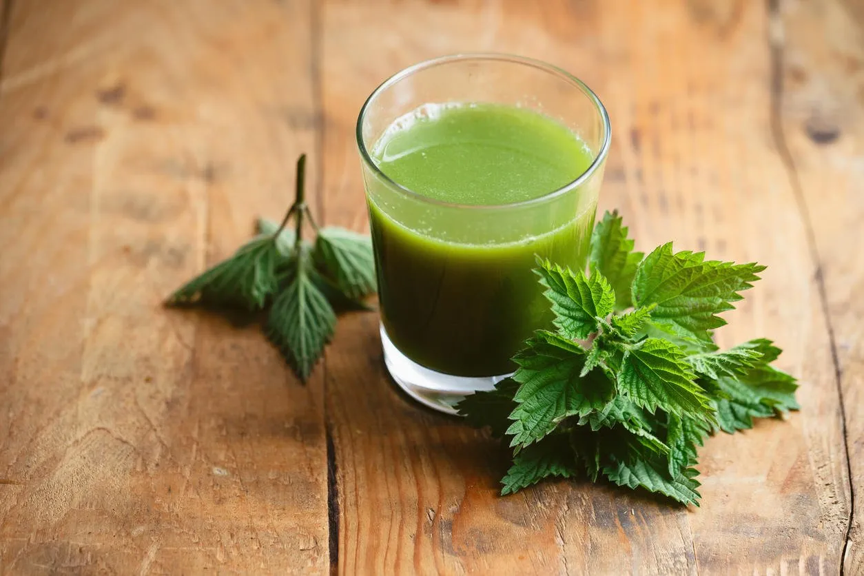 nettle leaves and glass of nettle juice