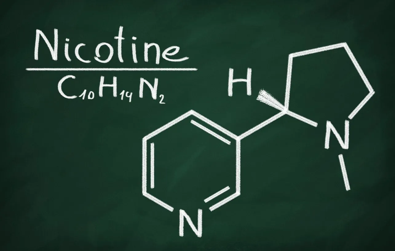 structural model of nicotine on the blackboard