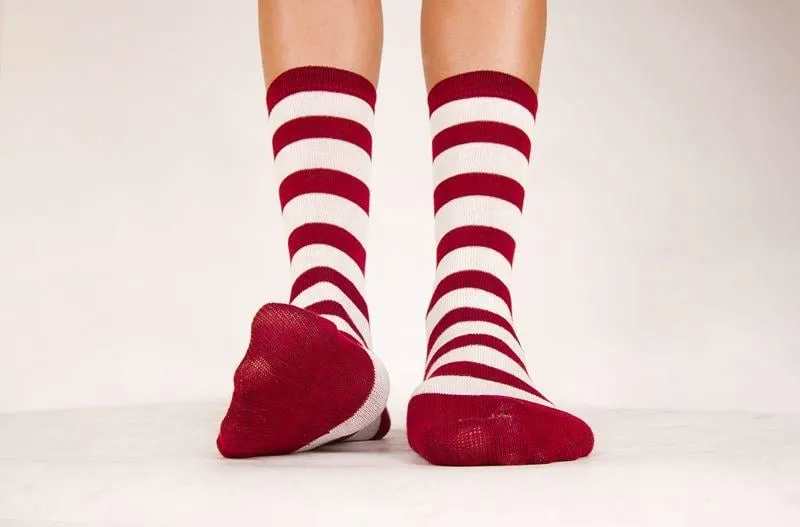 isolated pair of striped white and red socks on white background