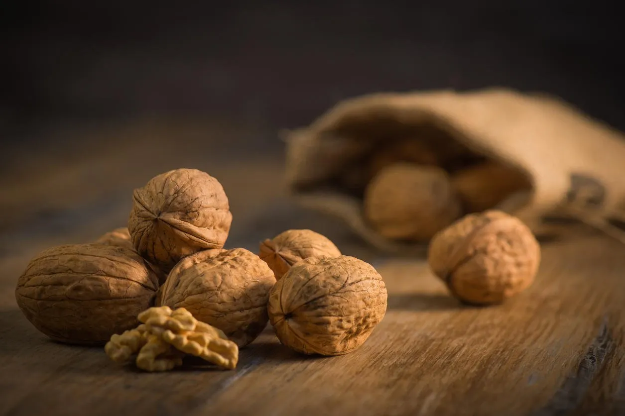 walnut kernels and whole walnuts on rustic old oak table france