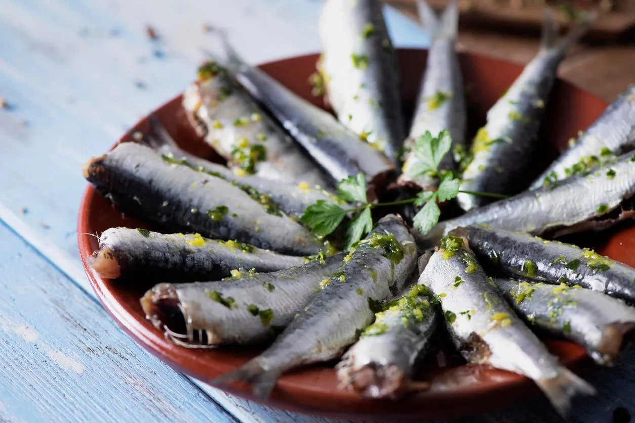 closeup of some raw sardines, marinated with olive oil, garlic and parsley, in a brown earthenware plate, on a blue and brown rustic wooden table, ready to be cooked