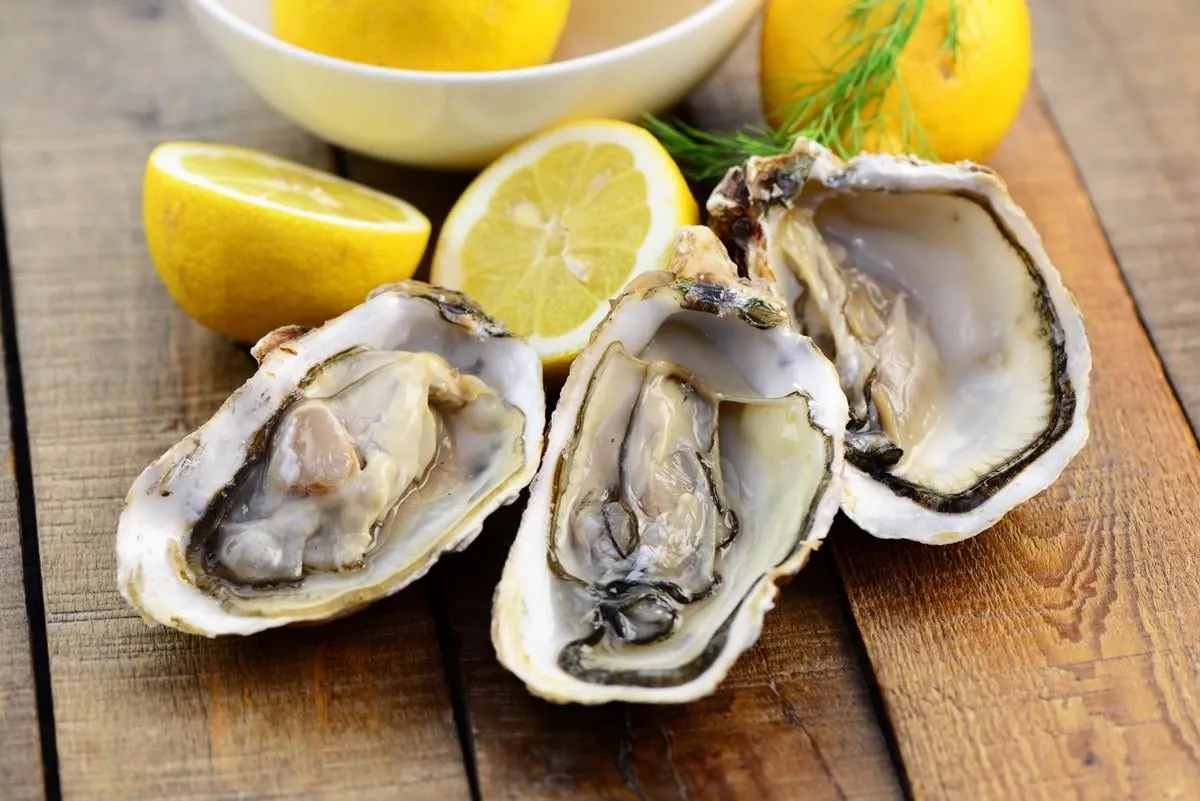 muscheln, zitrone, zitrone