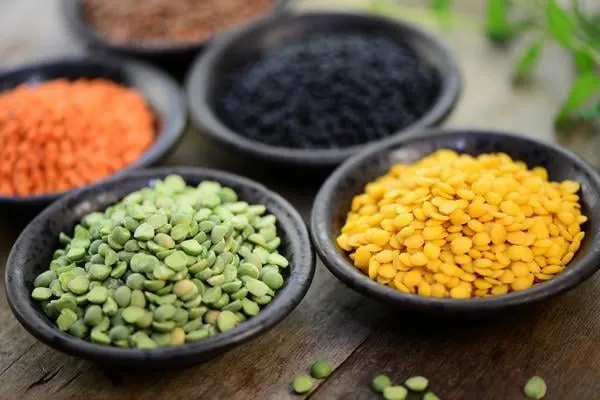 variétés de lentilles