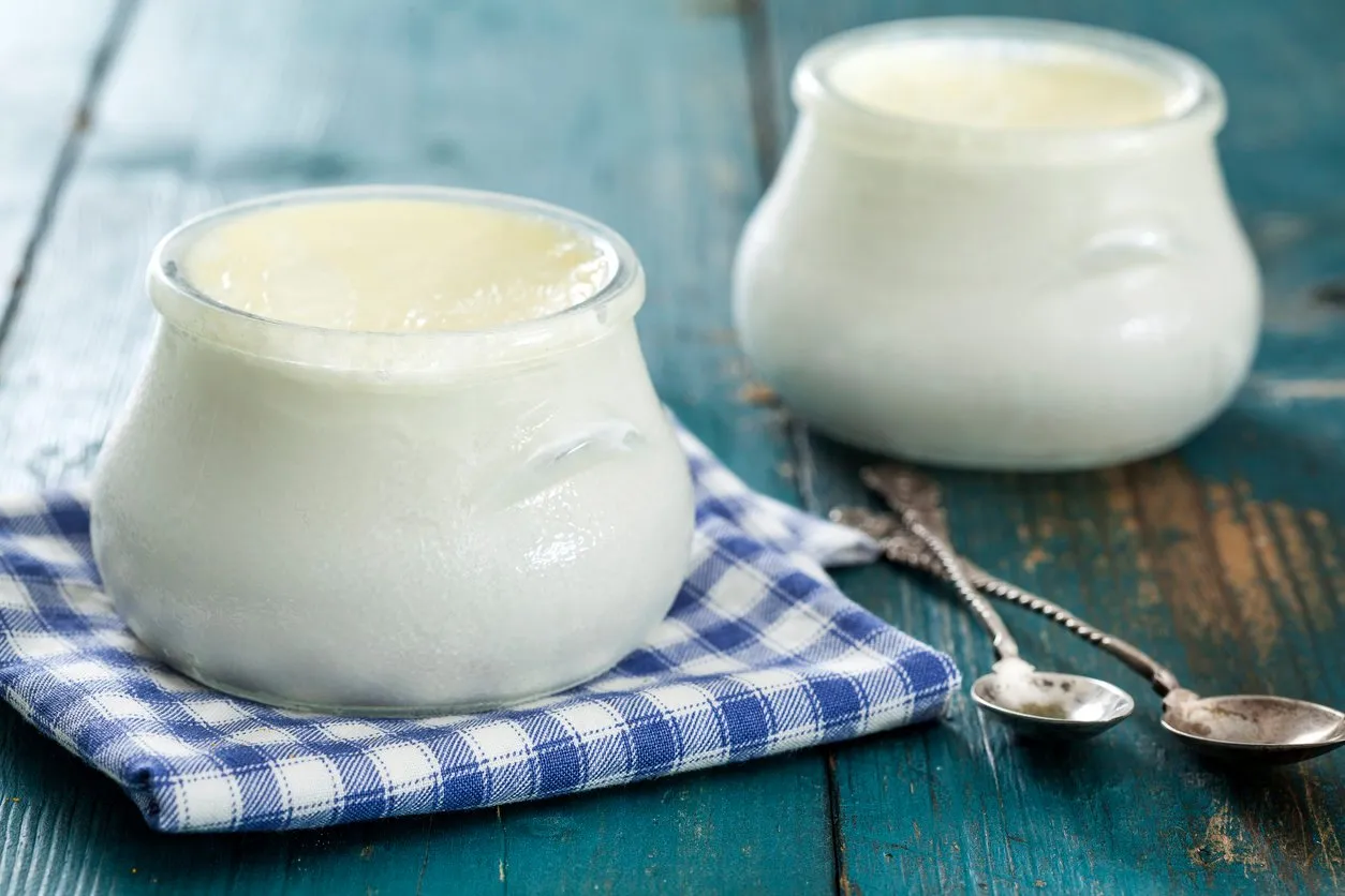 homemade yogurt